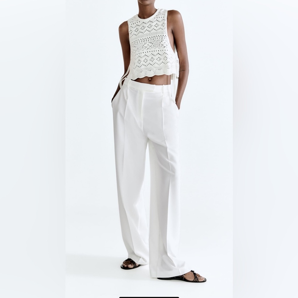 Zara Pleated Menswear Style Pants